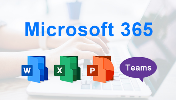 Microsoft 365の導入からその後の運用サポートも支援。